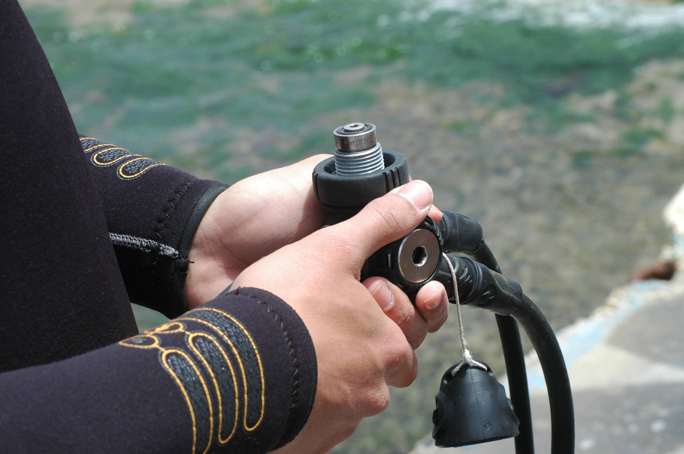 PADI Scuba Review