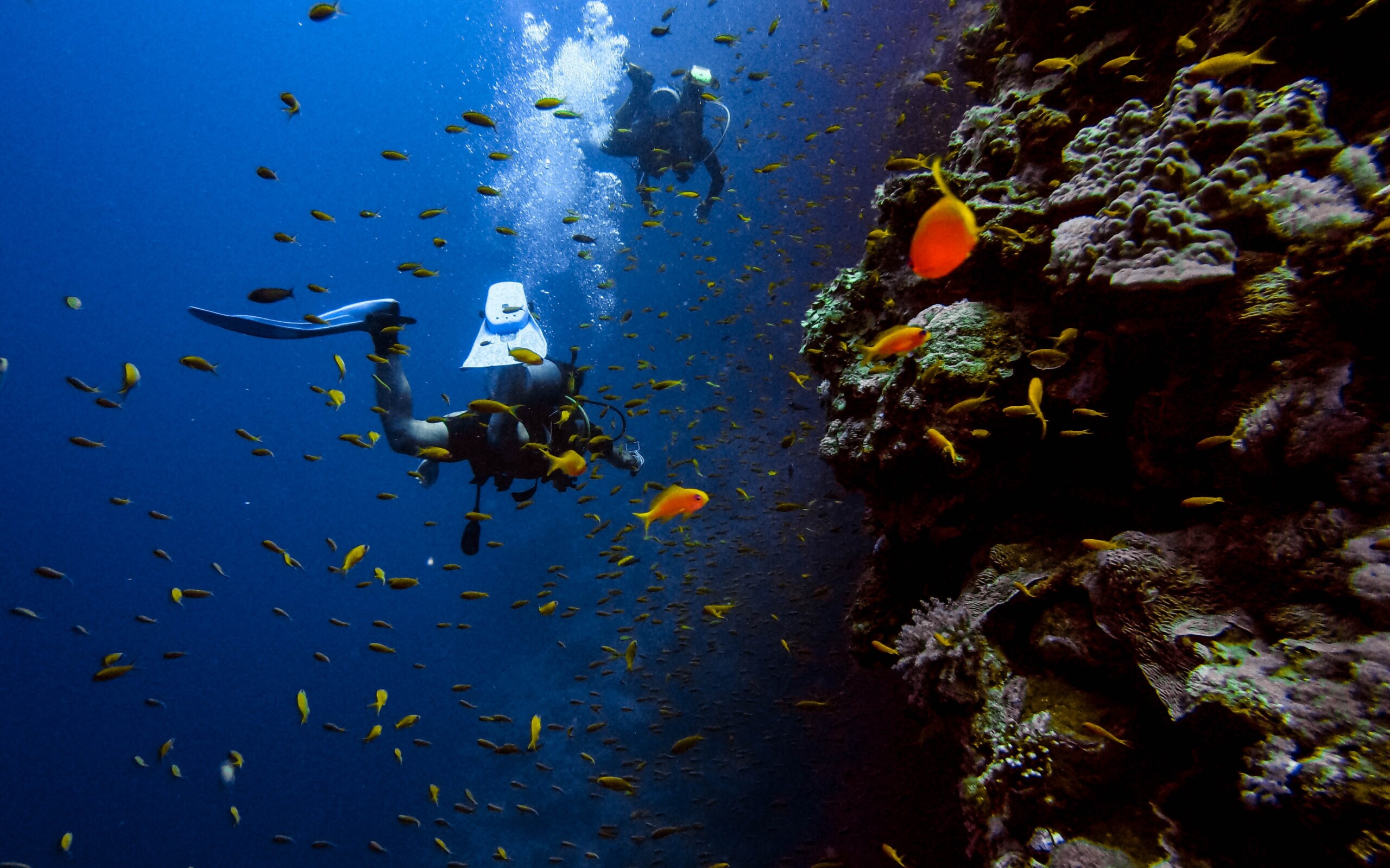 PADI Open Water Course