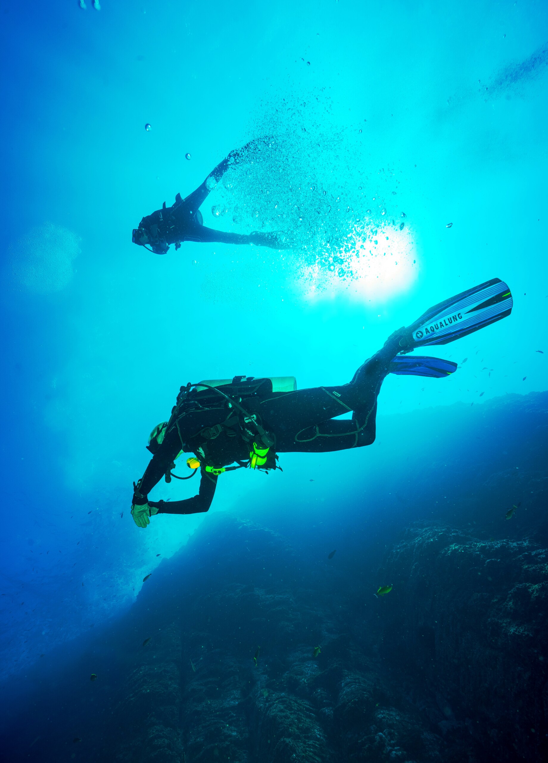 Dive Master