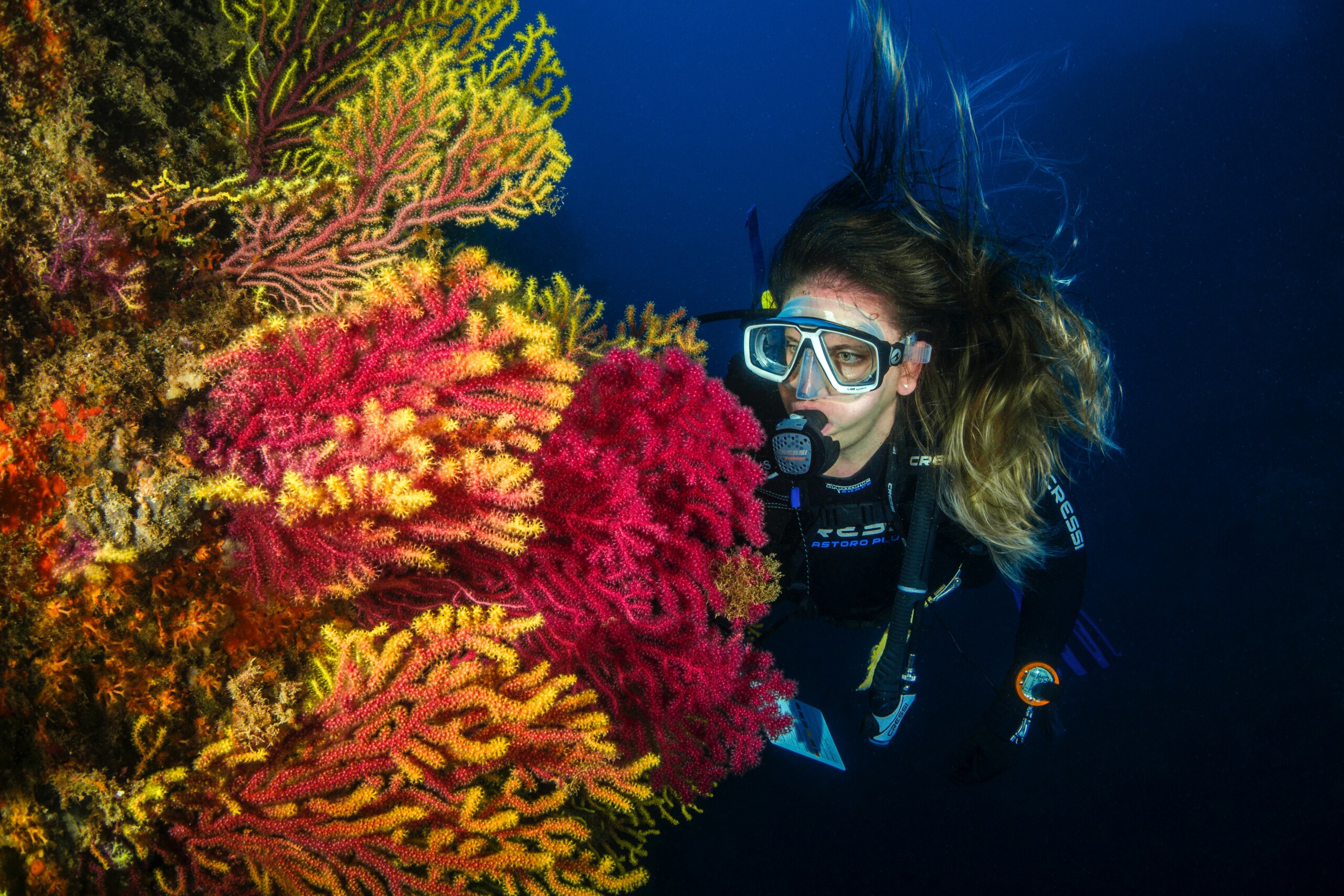 PADI Scuba Diver Course
