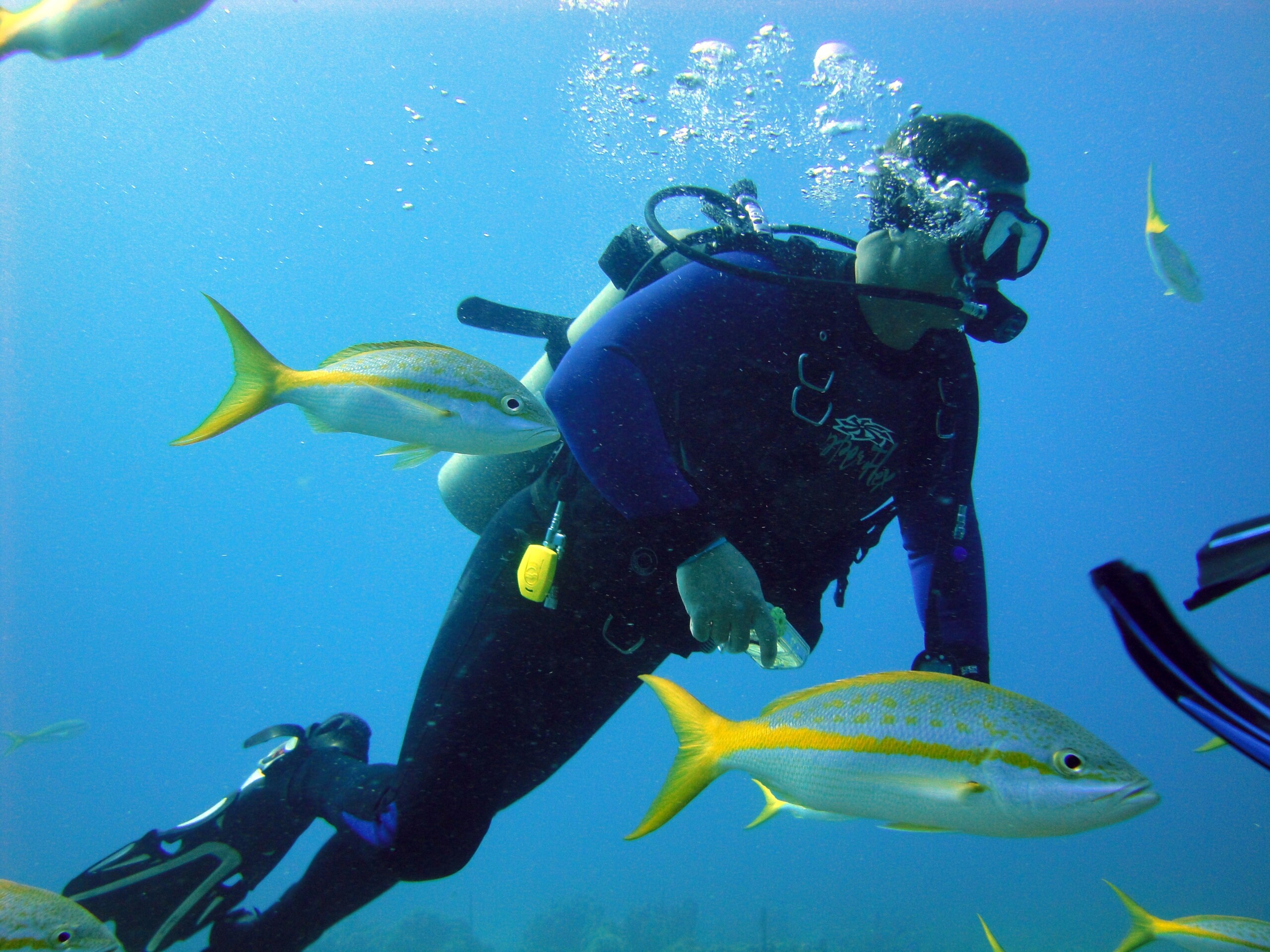 PADI Open Water Course + PADI Advanced Open Water Course