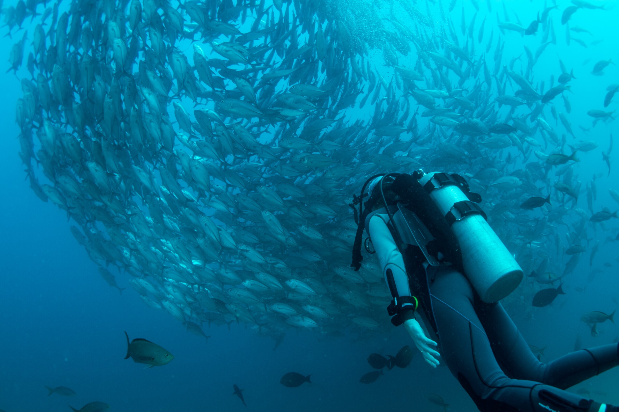 PADI Discover Scuba Diving + Fun Dive (Beach Dive)